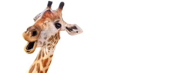 Lotería nacional Jueves 9 de Abril2026